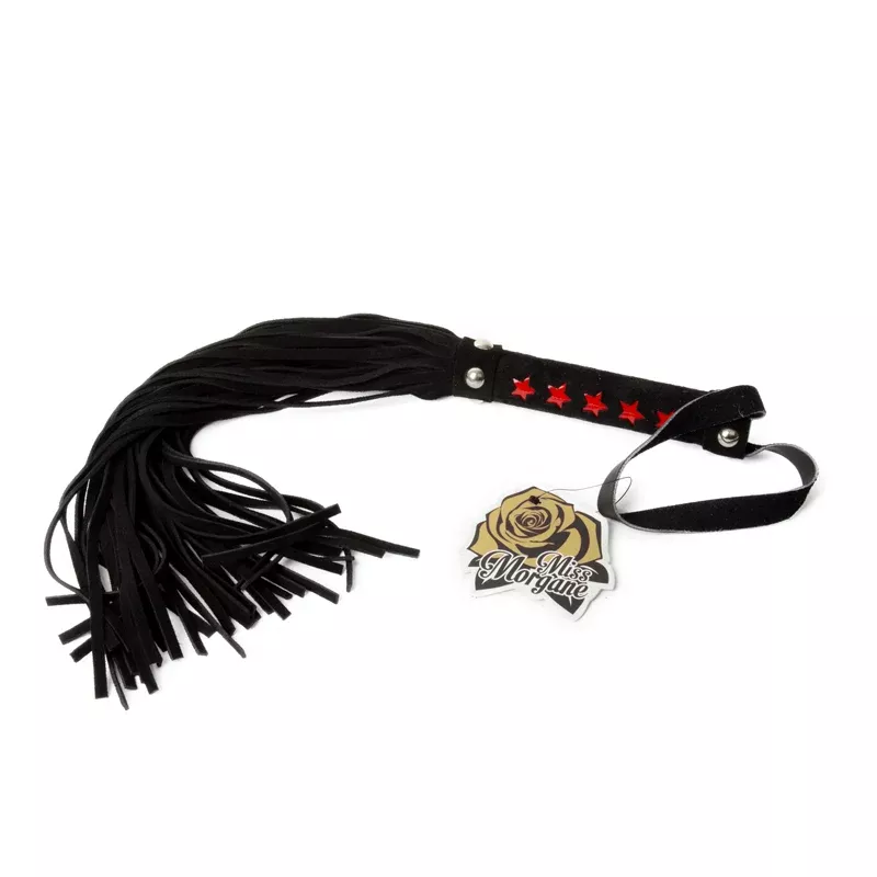 19" Whip Medium with Red Stars