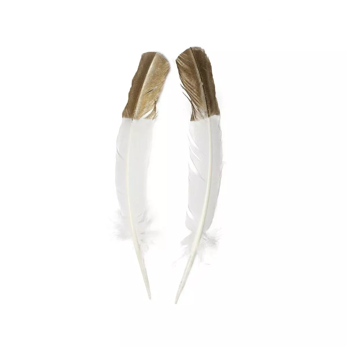 2-Piece Metallic Gold Tipped White Turkey Quill Feathers