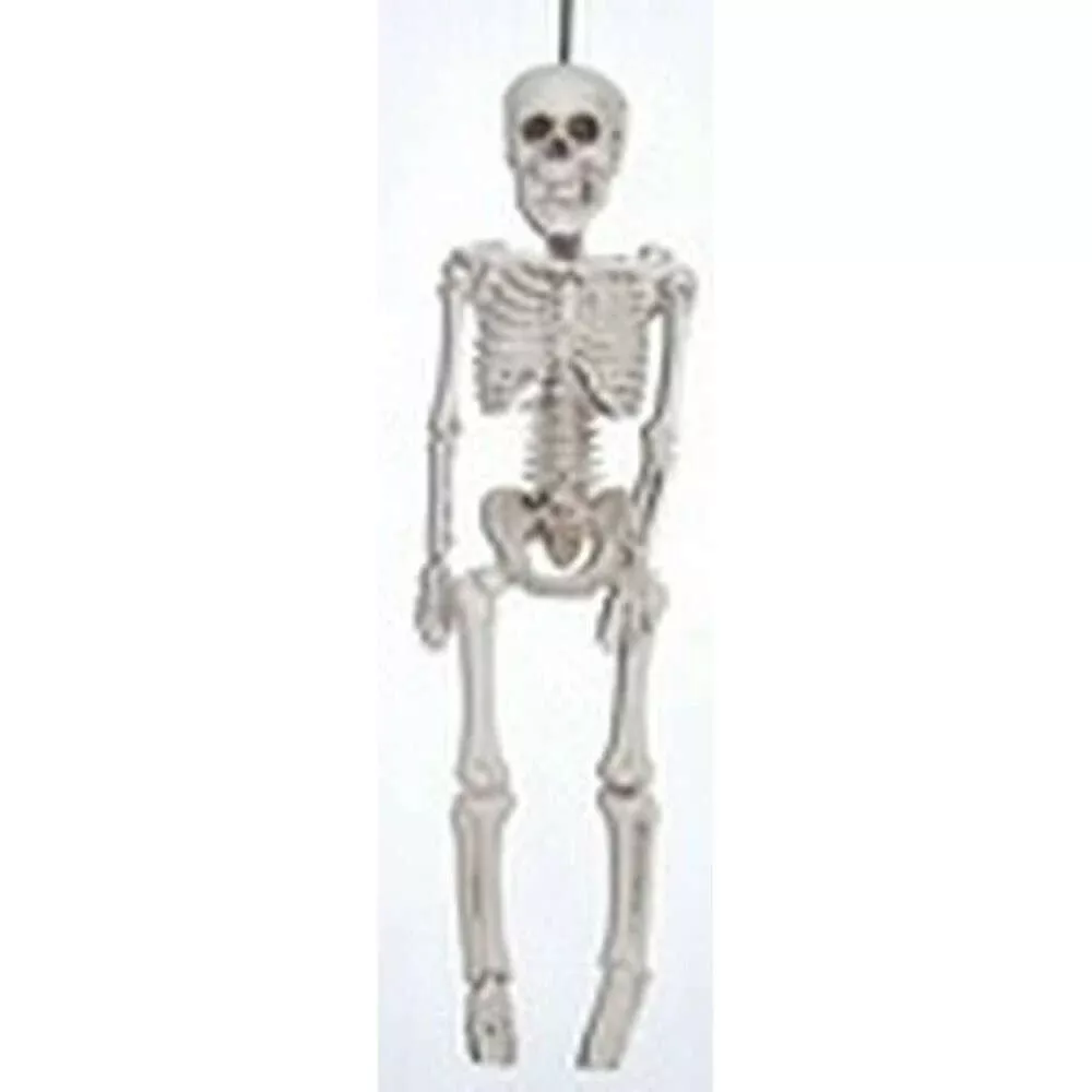 20" Plastic Realistic Skeleton