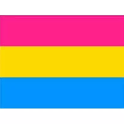 3' x 5' Pansexual Flag