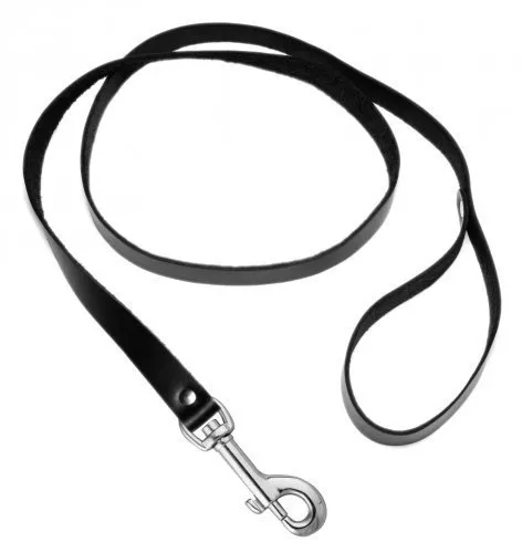 4 Foot Leather Leash