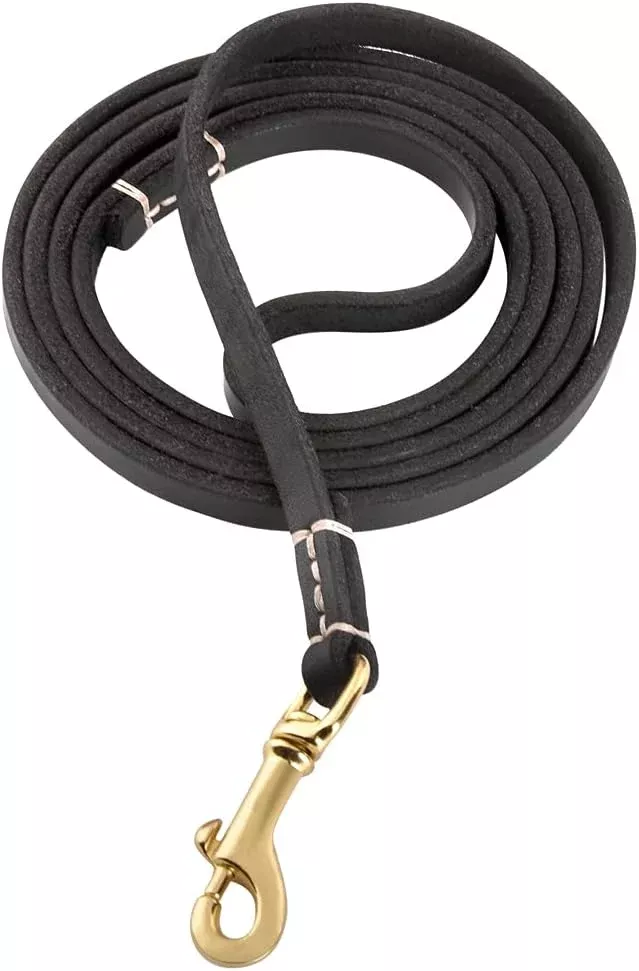Artisan Leather Leash