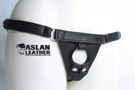 Aslan Driver Harness