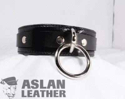Aslan Jaguar Collar