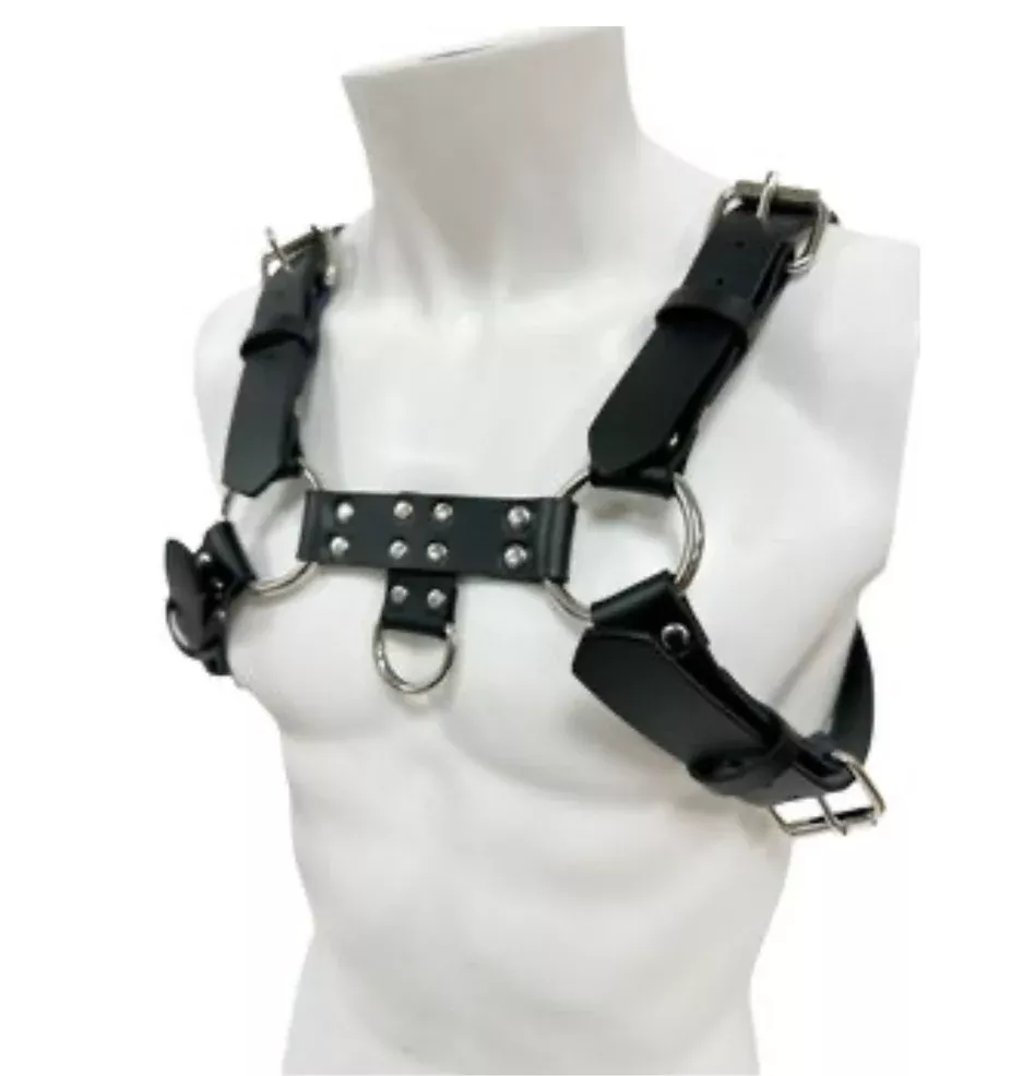 Black Buckle Bulldog Harness