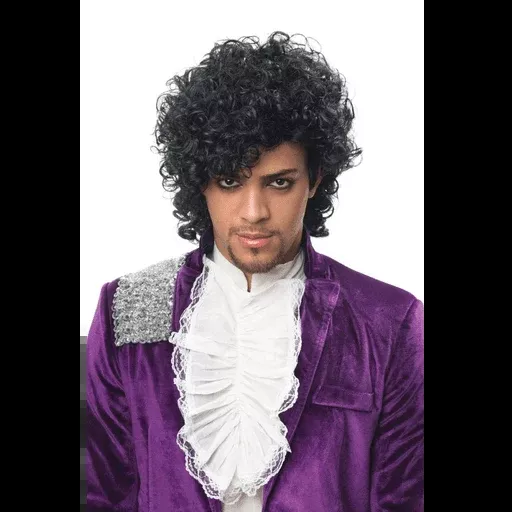 Black Prince of Funk Rock Unisex Wig