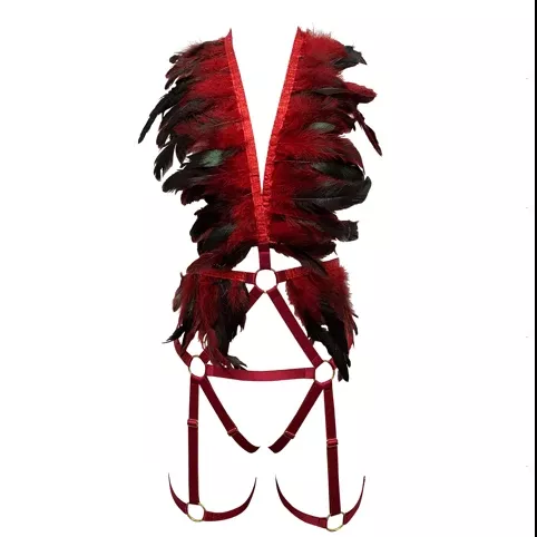 Black & Red Feather Top & Garter Bottom Set