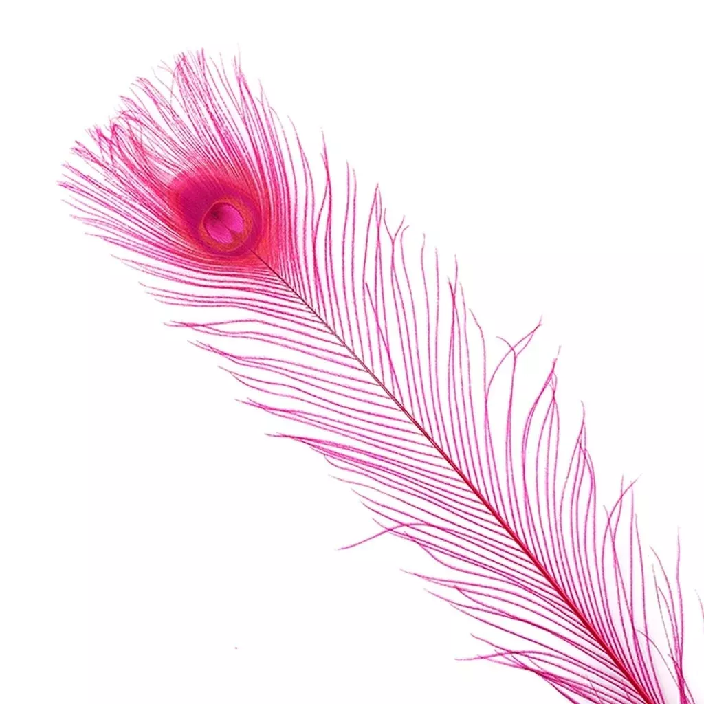 Bleach & Dyed Hot Pink Peacock Feathers- 10 Pieces