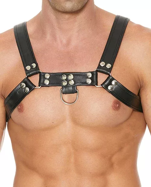 Chest Bulldog Harness Small/Medium - Black