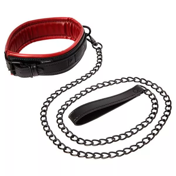 Collar and Leash