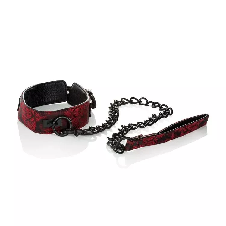 Collar With Leash - SCANDAL