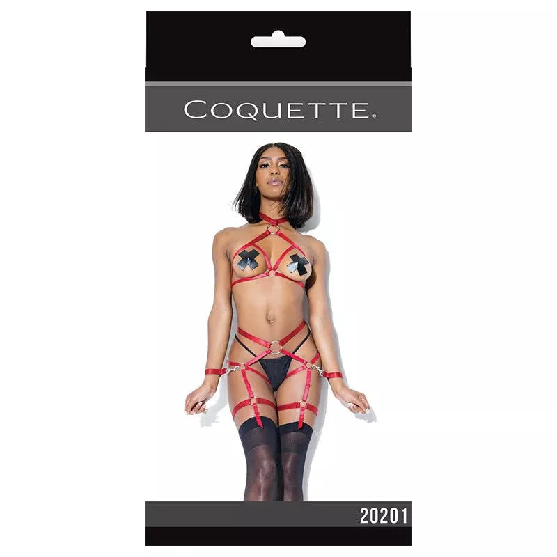 Darque Harness Top And Crotchless Panty Merlot