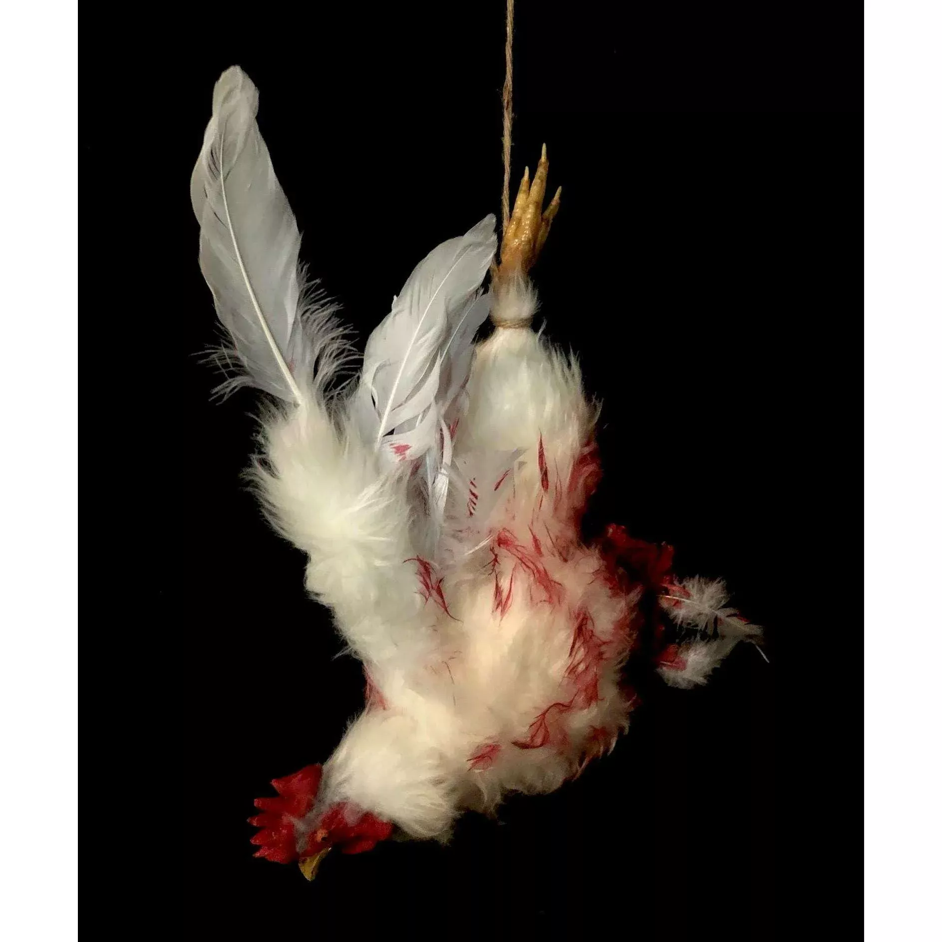 Dismembered Chicken Prop