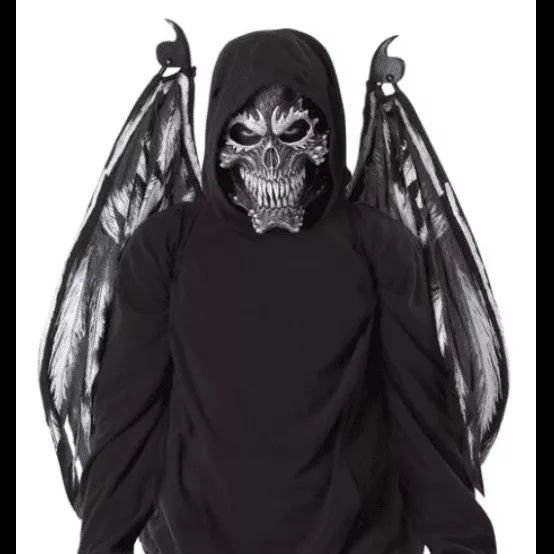 Fallen Angel Mask & Wings Set
