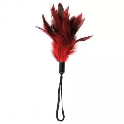 Feathers