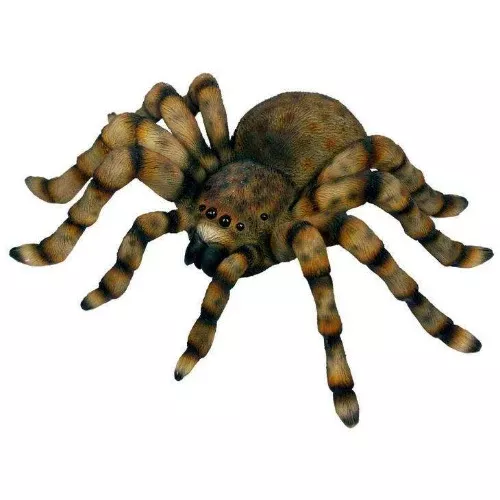 Giant Tarantula Wall Plaque