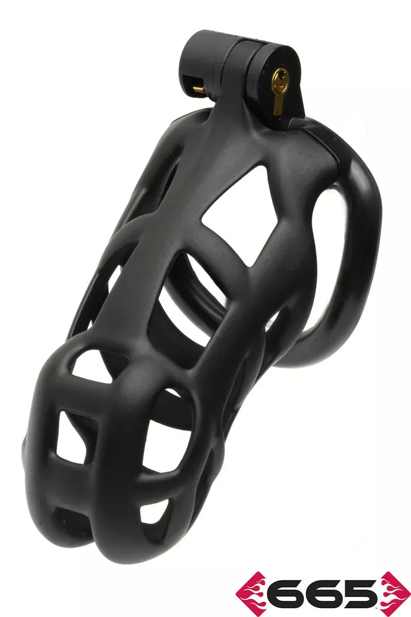 Guardian Chastity Cage