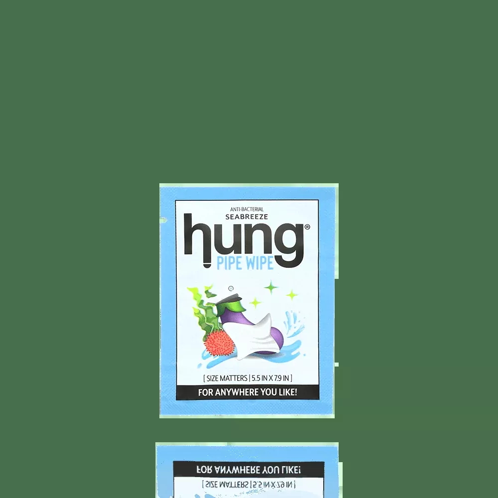 Hung Pipe Wipe - 16ct