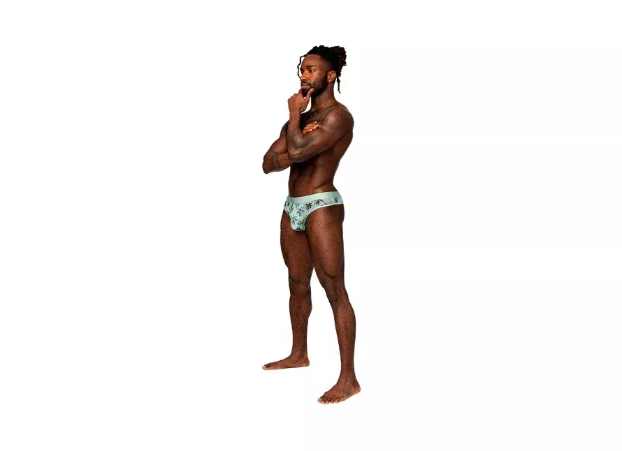Male Power Sheer Prints Sheer Thong