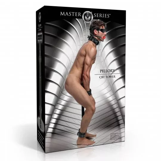 Master Series Pillory CBT Tower