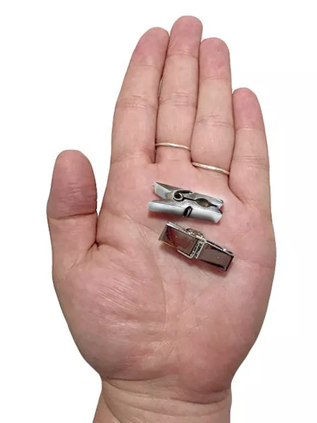 Nipple Pegs: Too Much