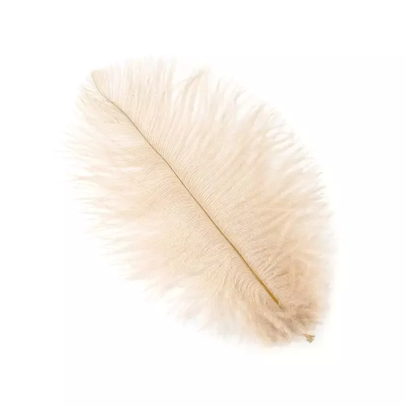 Ostrich Feather Drab