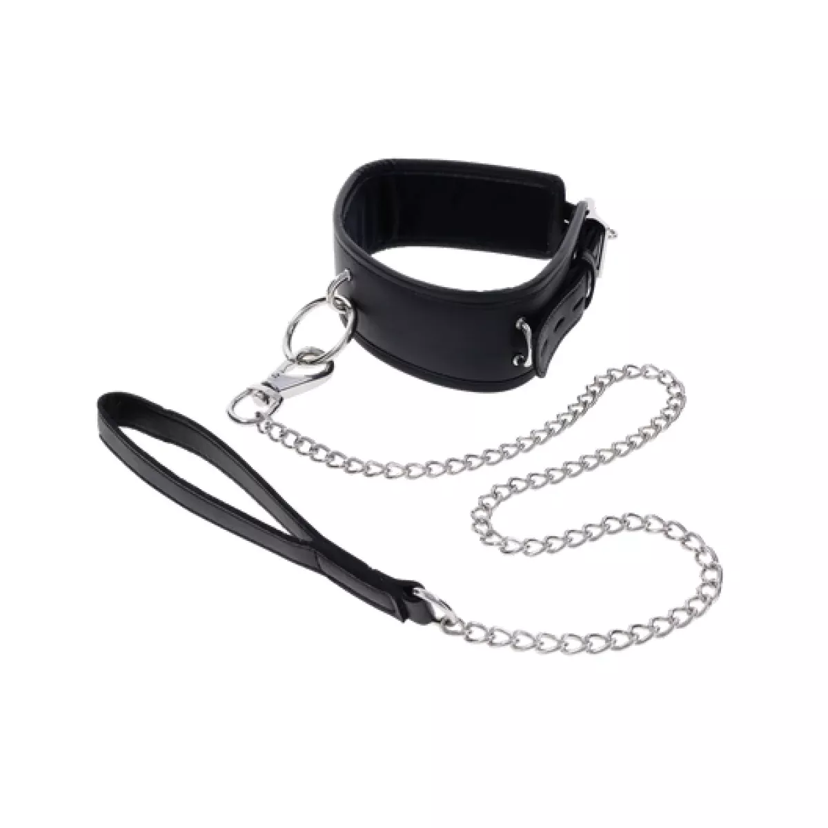 Padded Collar & Metal Leash