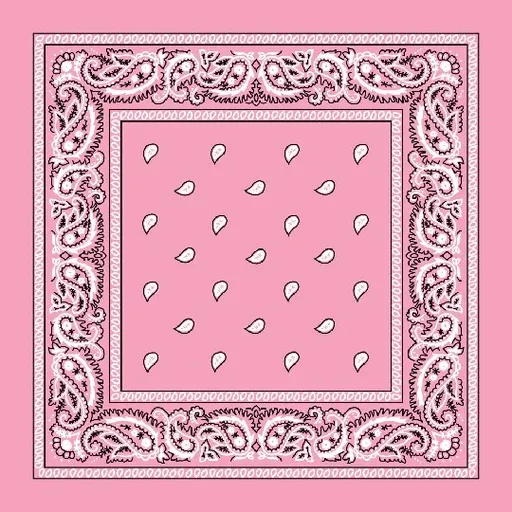 Paisley Bandanas