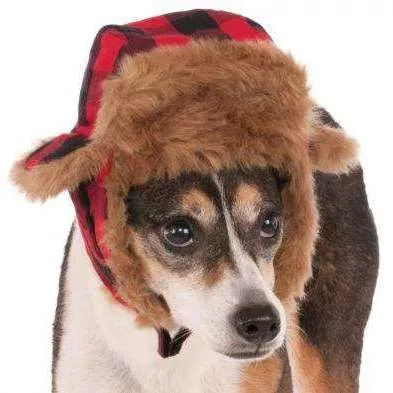 Pet Trapper Hat