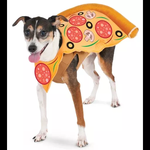 Pizza Slice Pet Costume