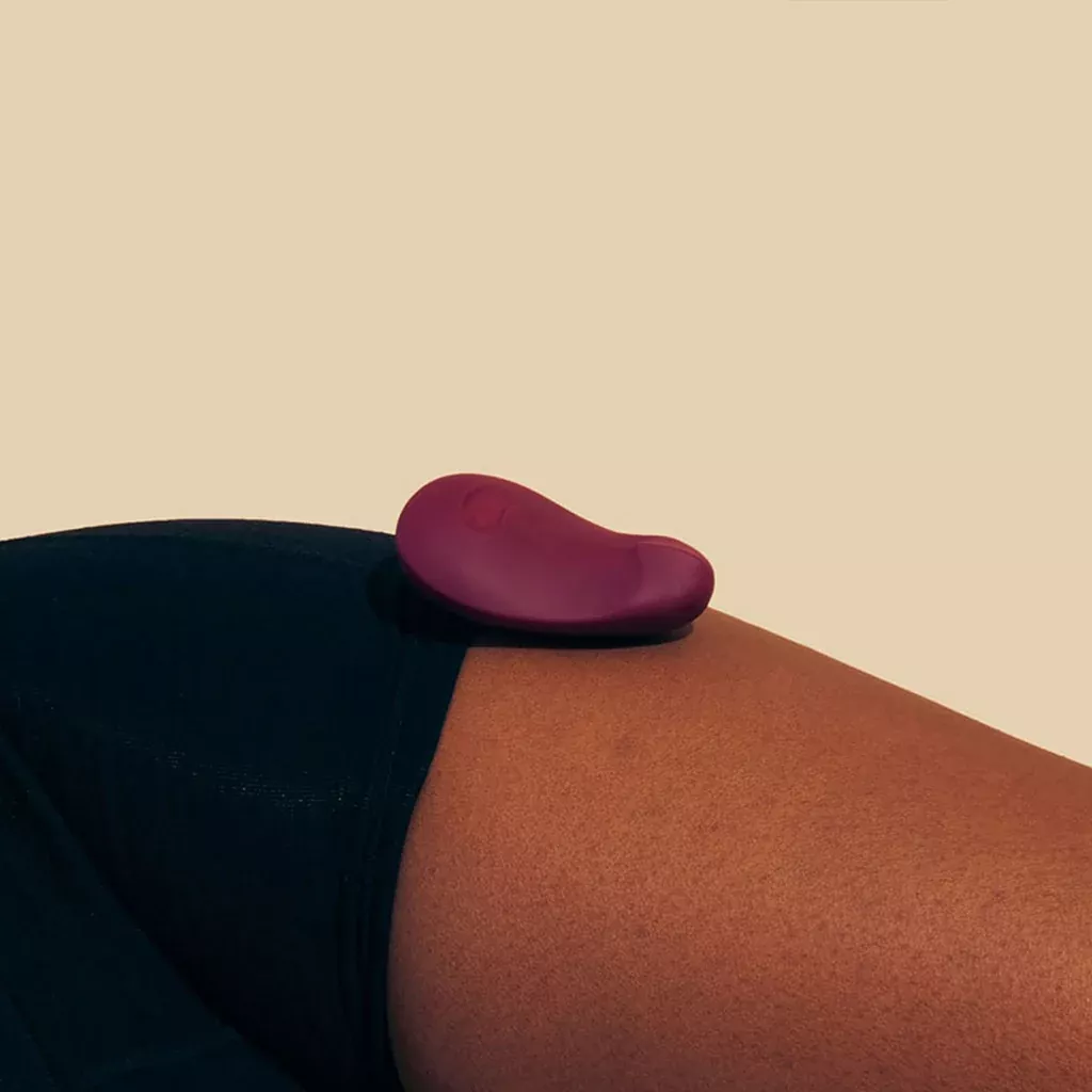 Pom by Dame Products