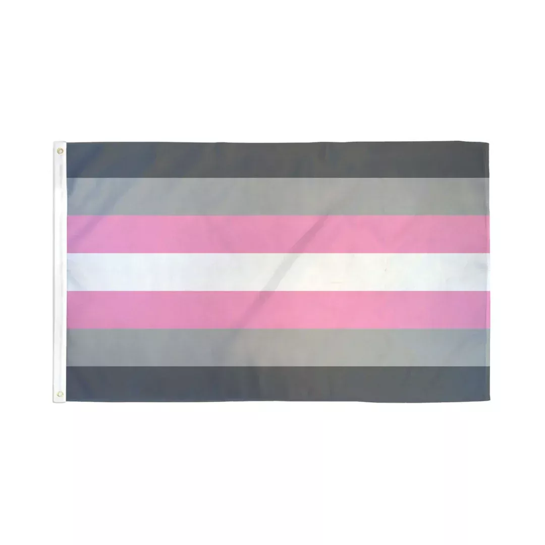 Pride Flag - Demigirl