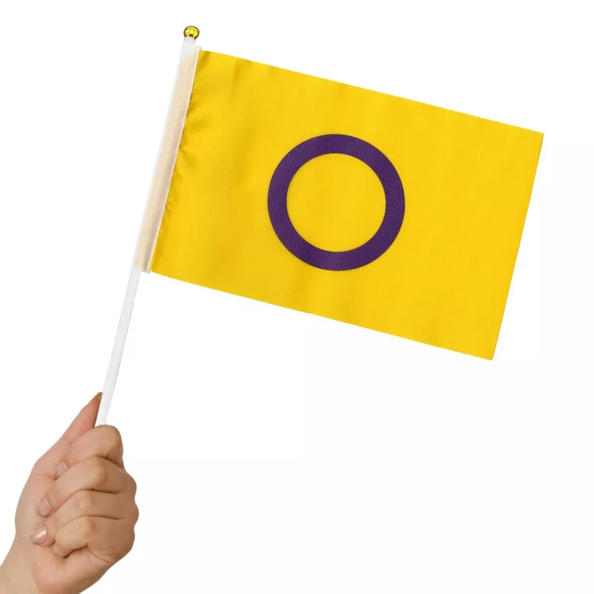 Pride Flag - Intersex