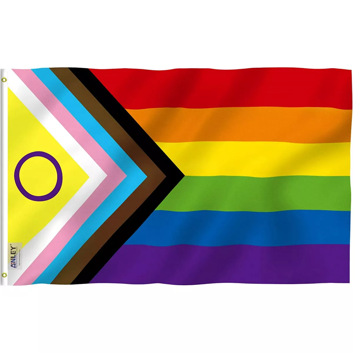 Pride Flag- Progress