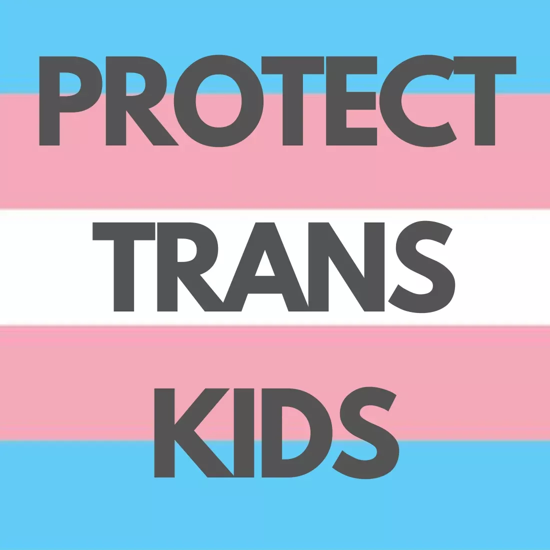 Protect Trans Kids Sticker