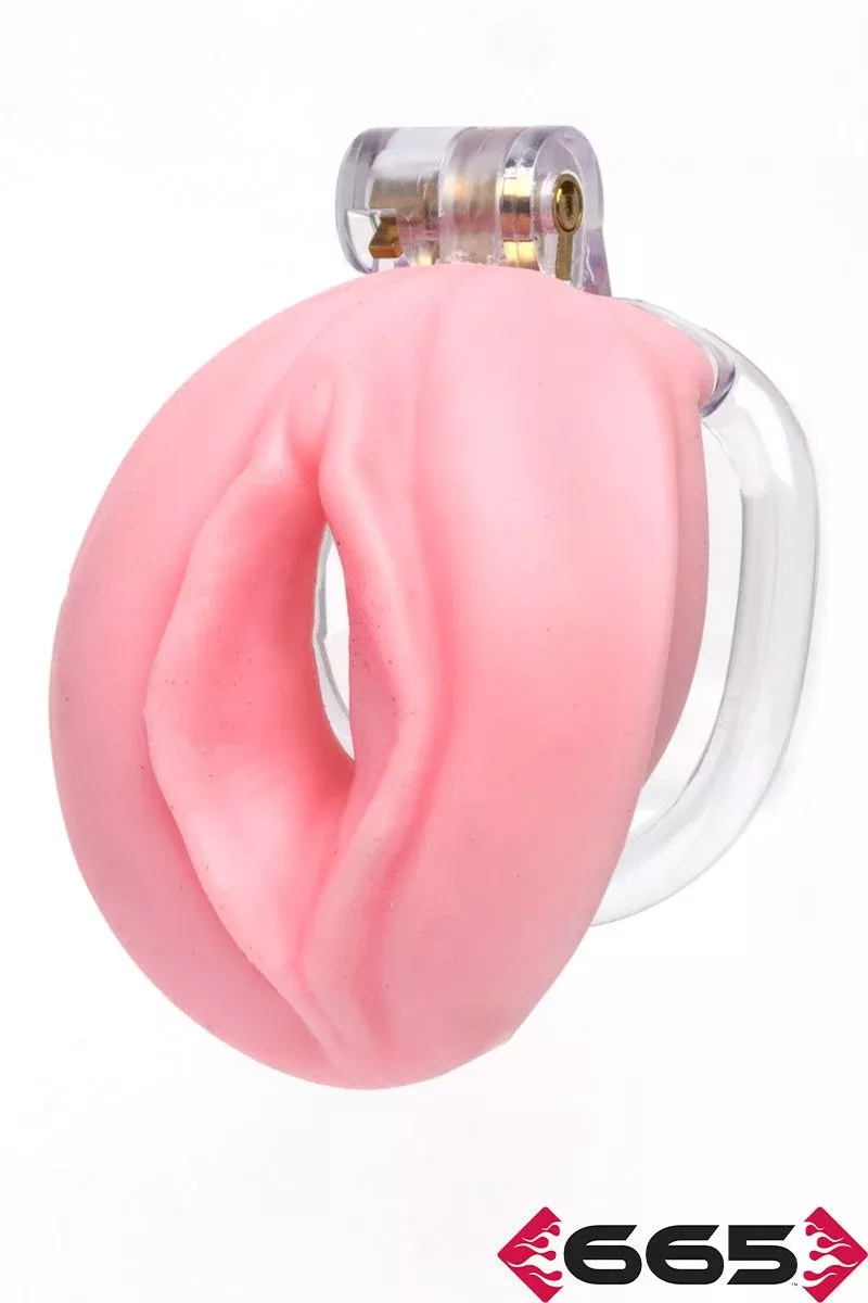 Pussyfyer Chastity Cage