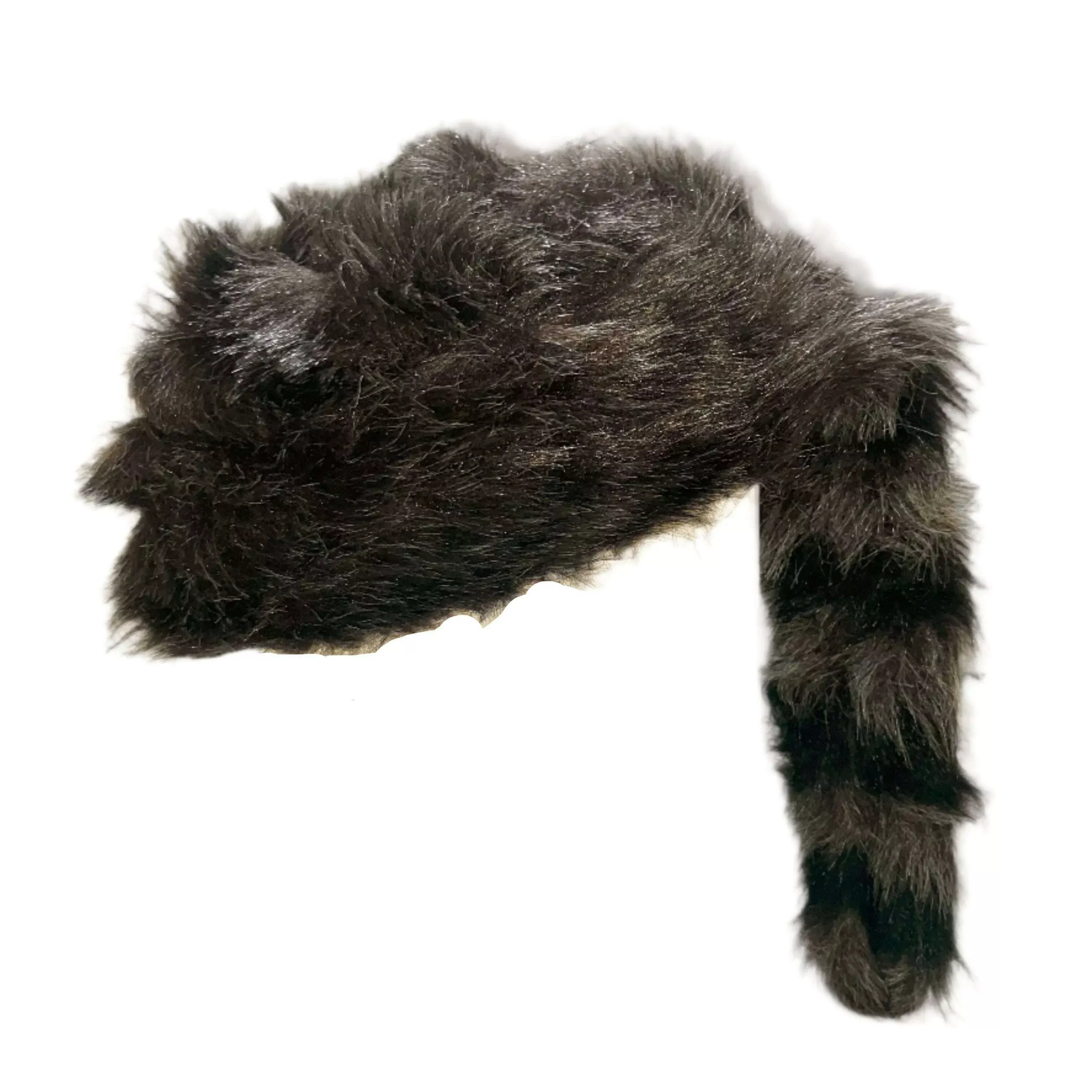Raccoon Cap