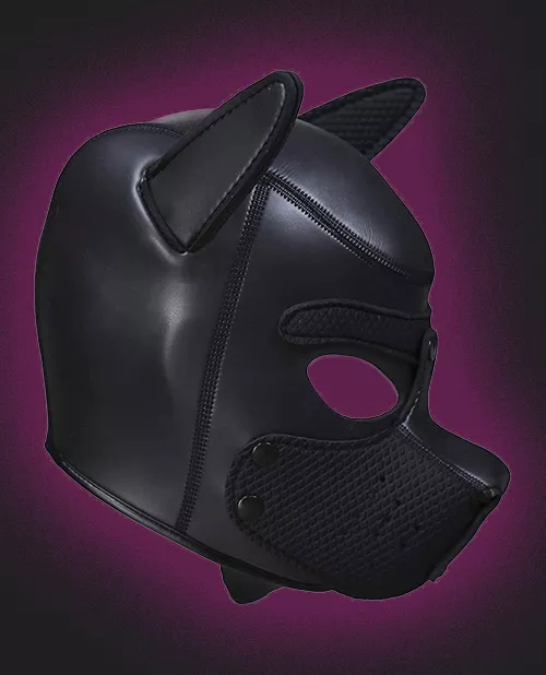 Shots Ouch Puppy Play Puppy Hood
