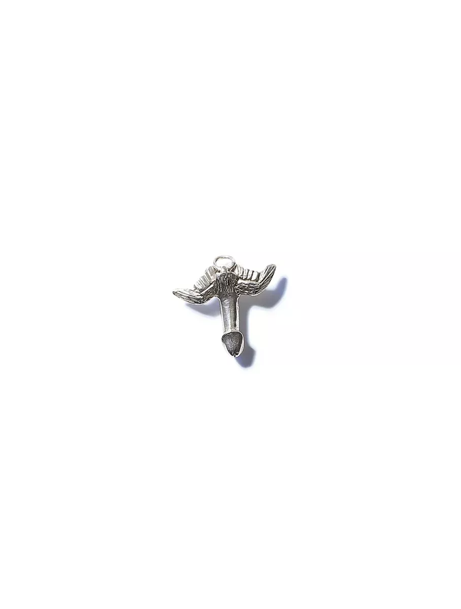 Silver Fascinus Pendant
