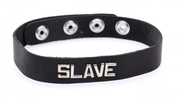 Strict Leather Id Collar