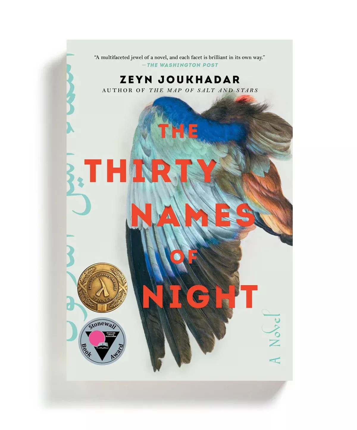 The Thirty Names of Night