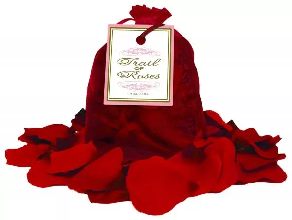 Trail of Roses Rose Petals
