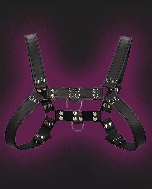 Uomo Chest Bulldog Harness