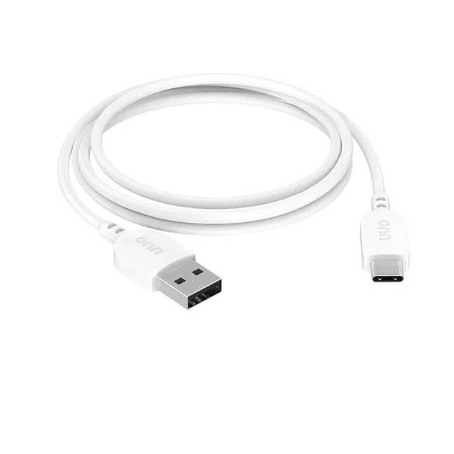 USB-C to USB Charger