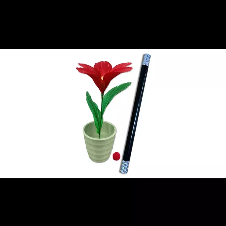 WAND TO FLOWER by JL Magic
