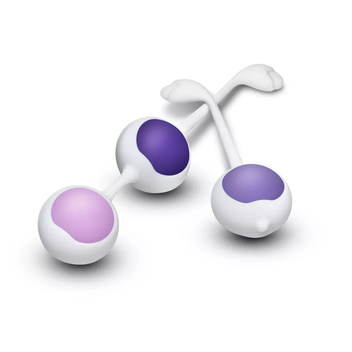 Wellness Kegel Kit