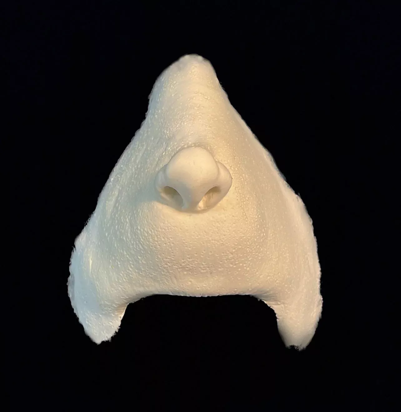 What-5 Nose Foam Latex Prosthetic